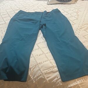 Lane Bryant Teal and Black Pants